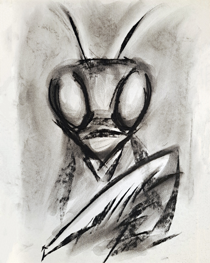 Eloquent Mantis