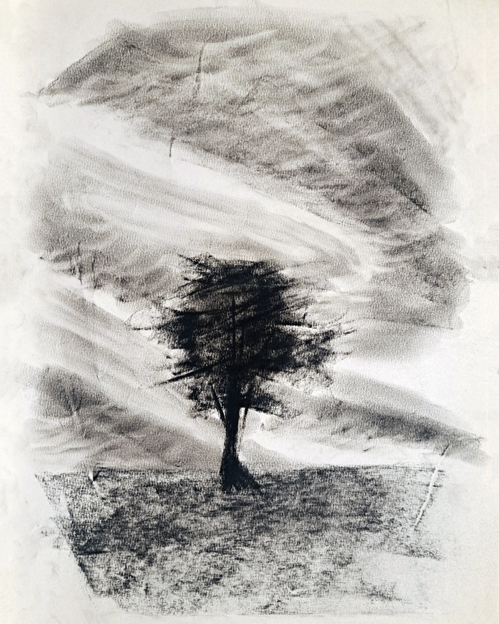 Forlorn Skies