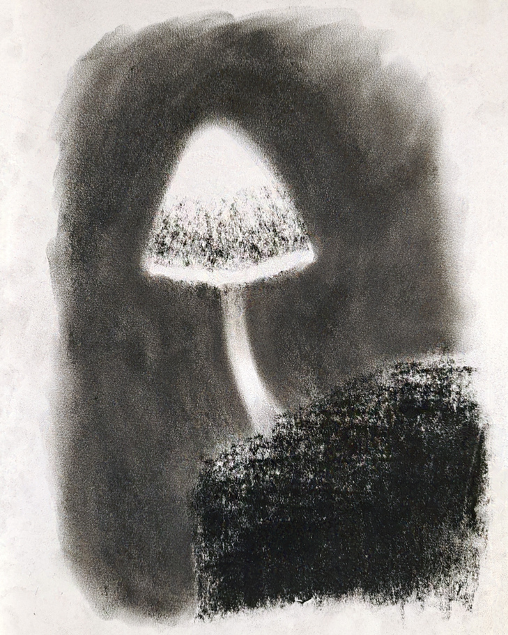 Mushroom