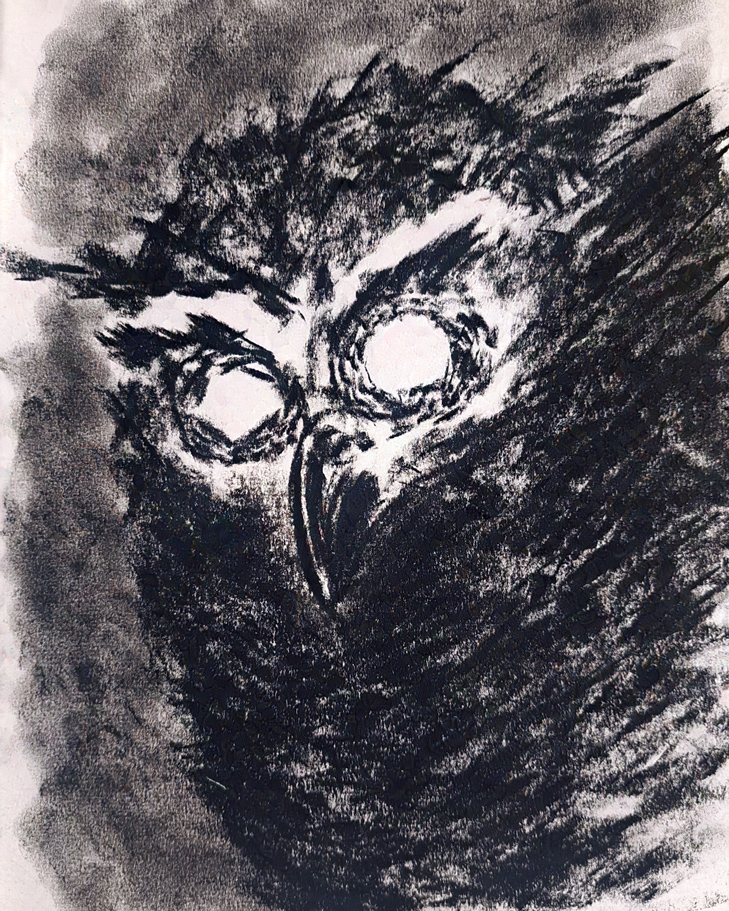 Winged Witness